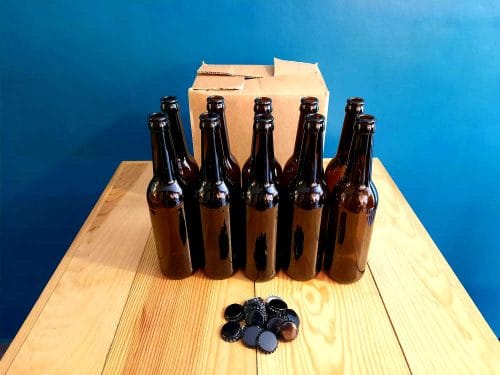 Lot de 10 bouteilles 50cl + capsules